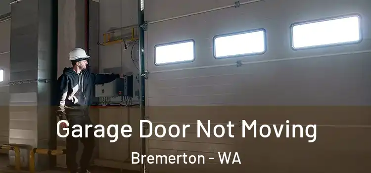  Garage Door Not Moving Bremerton - WA