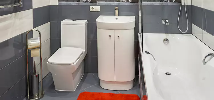 Hansgrohe Shaving Mirror Bremerton